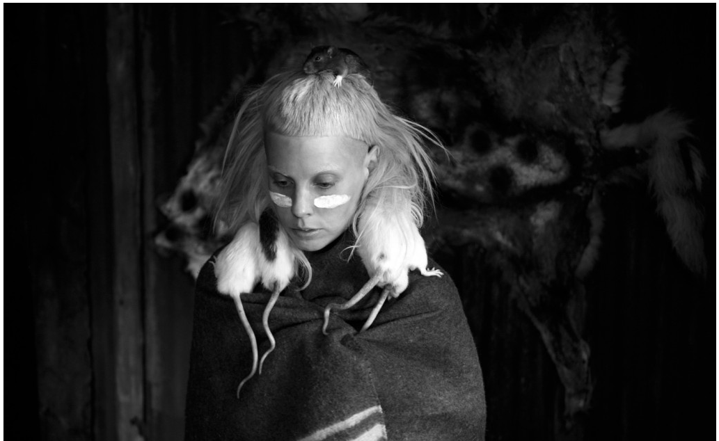 Carousel Image number 5